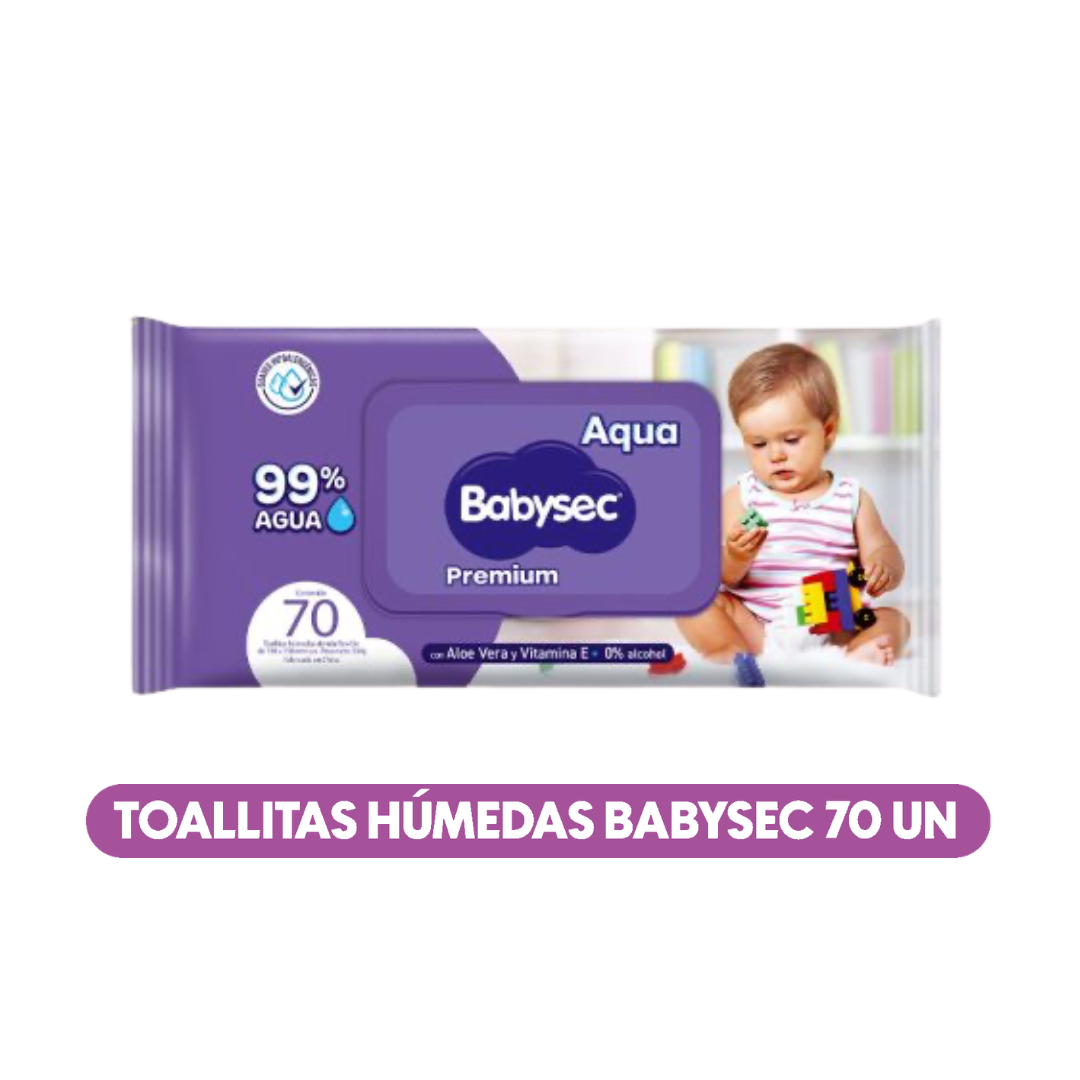 Toallitas Húmedas Babysec 70 UN / Con tapa