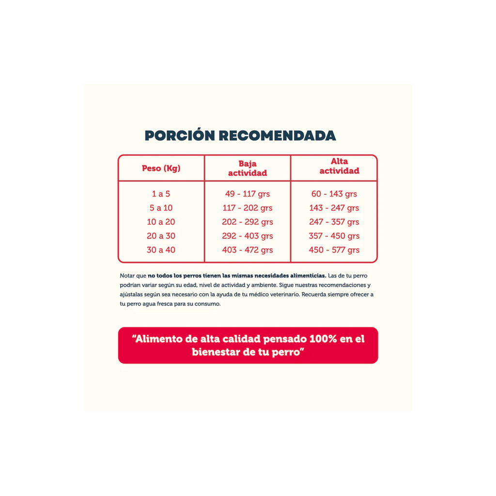 Perro PetFamily Food 10 kg Cachorros