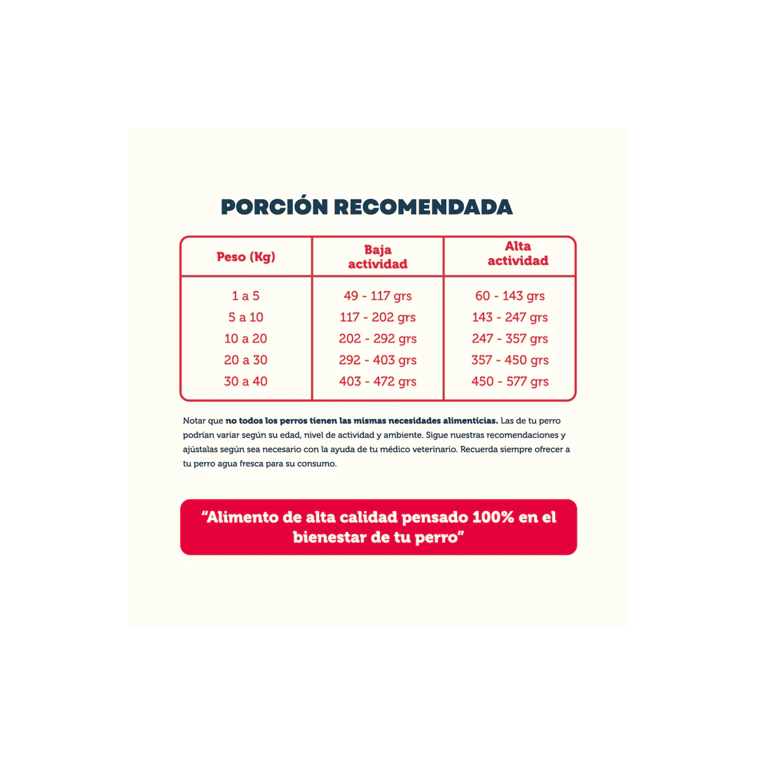 Perro PetFamily Food 10 kg Cachorros