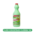 Cloro Concentrado Clorinda 1 kg